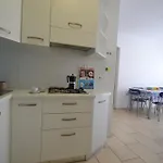 Zenit ביביונה