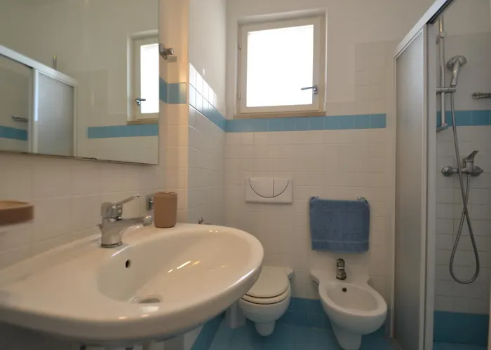 Zenit * 비비오네